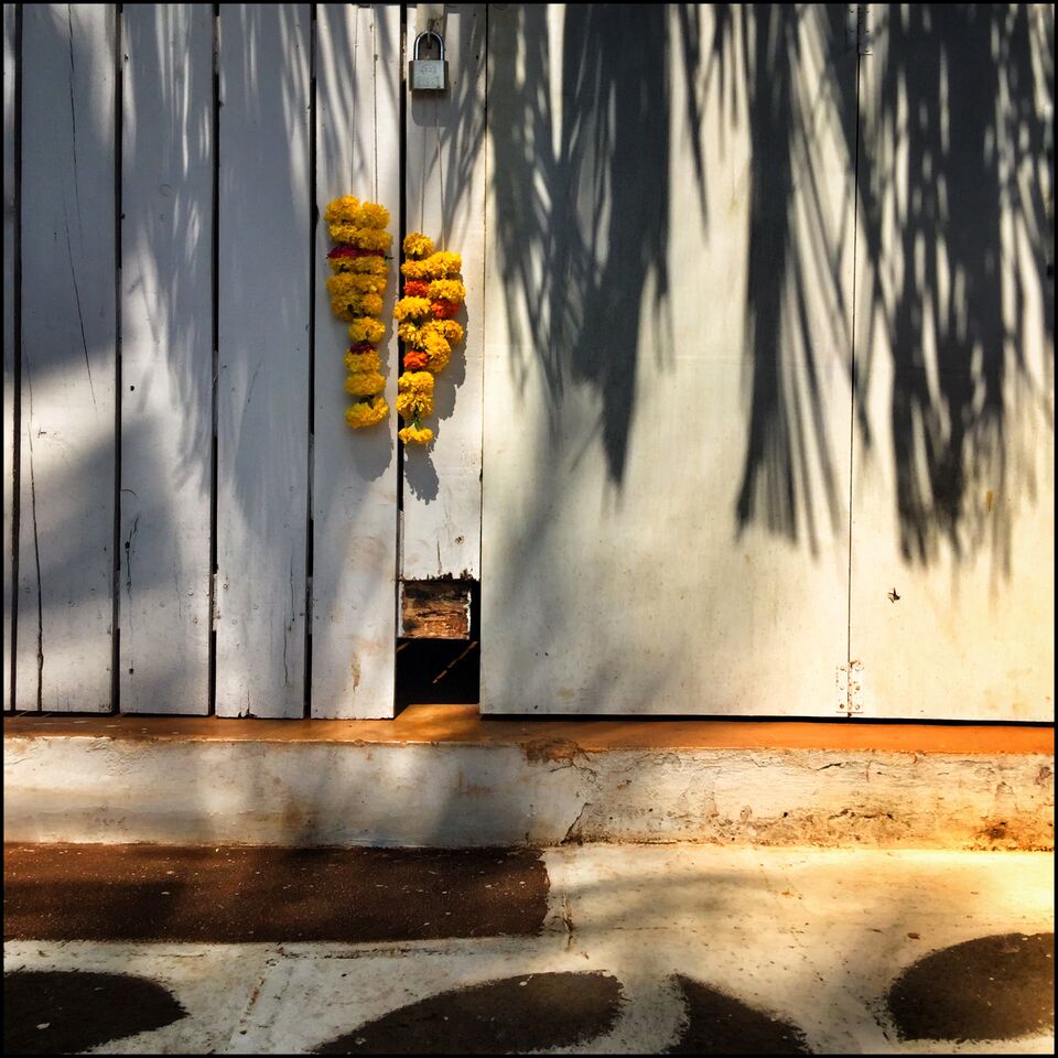 Yellow flowers in offering | EAT.PRAY.MOVE Retreats | Goa, India