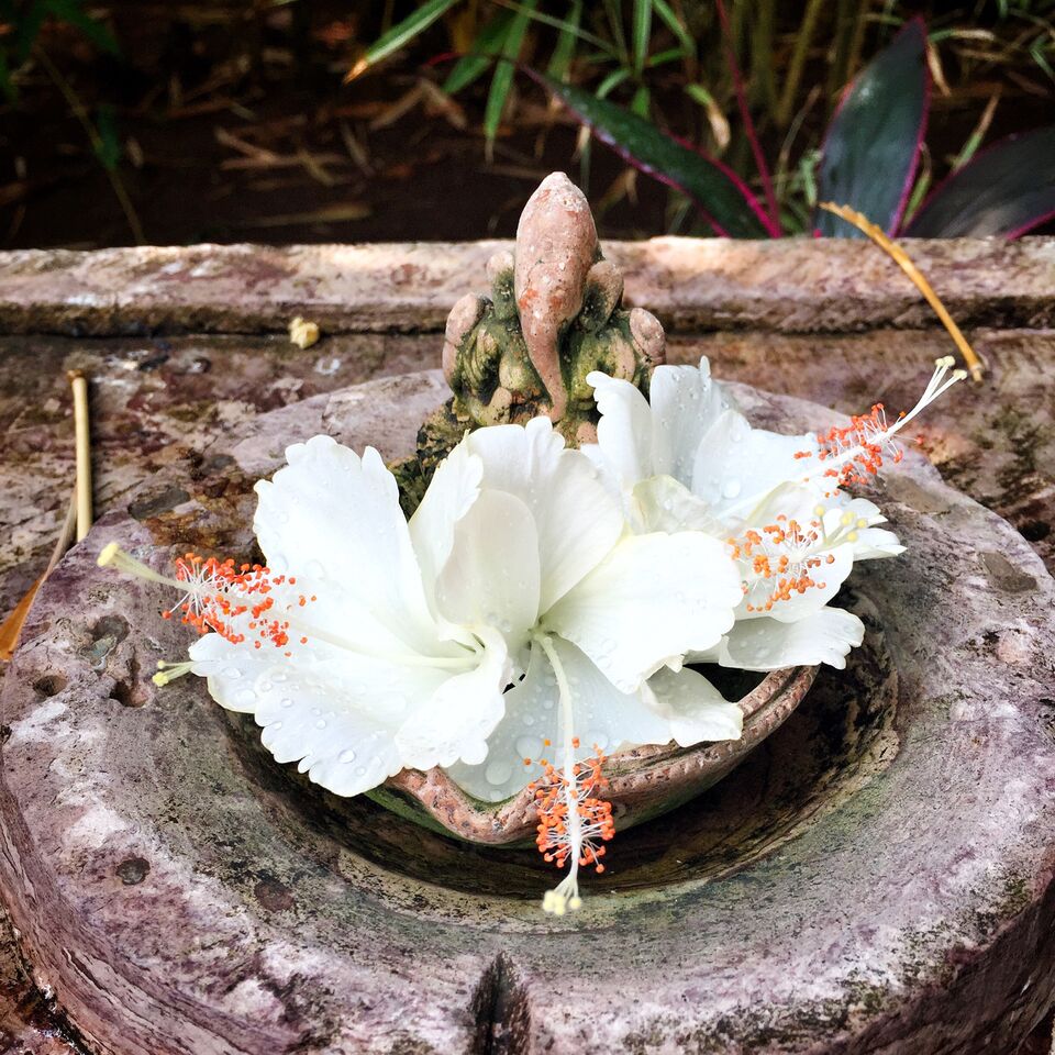 A floral offering | EAT.PRAY.MOVE Retreats | Goa, India