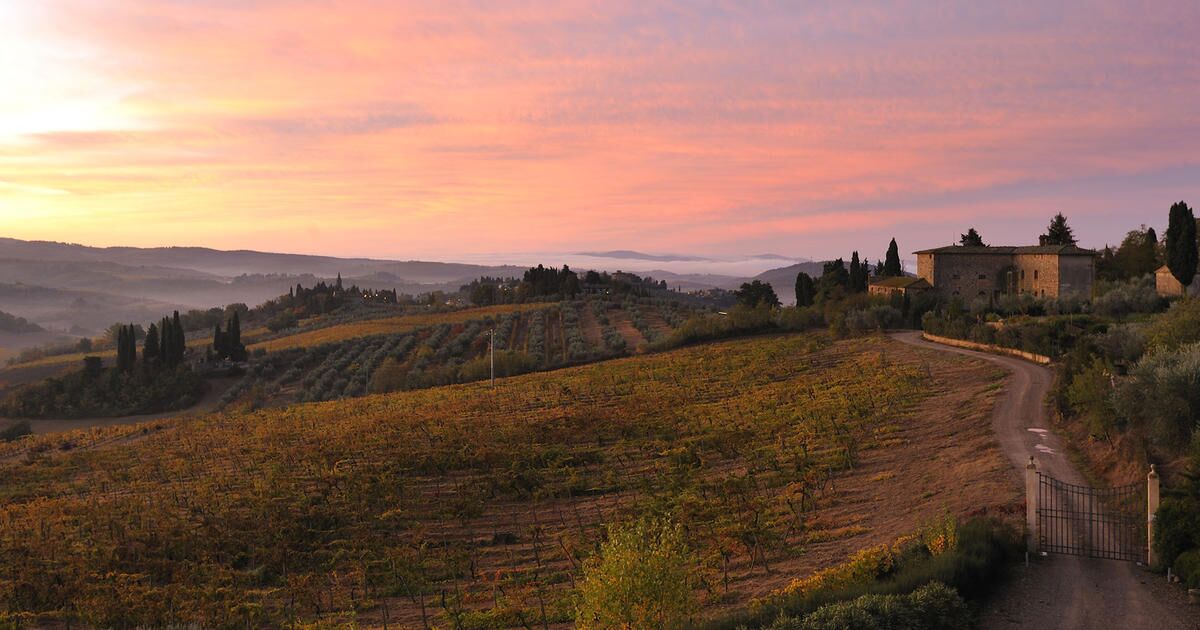 Tuscan sunset Castello del Nero | EAT.PRAY.MOVE Yoga | Chianti, Italy