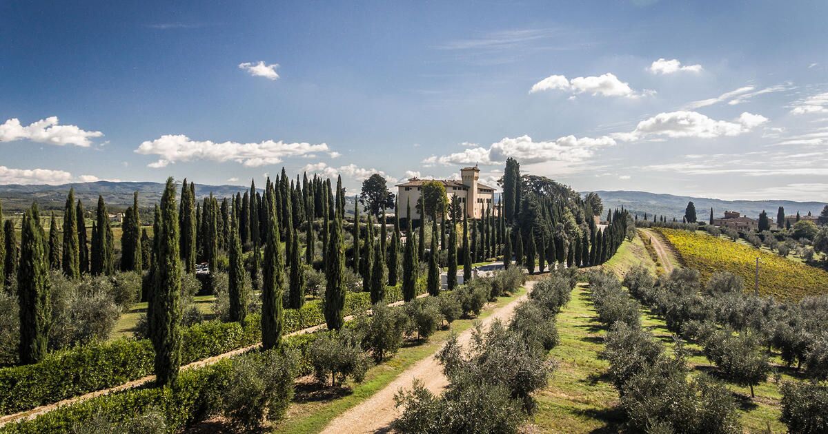 Cypress trees Castello del Nero | EAT.PRAY.MOVE Yoga | Chianti, Italy