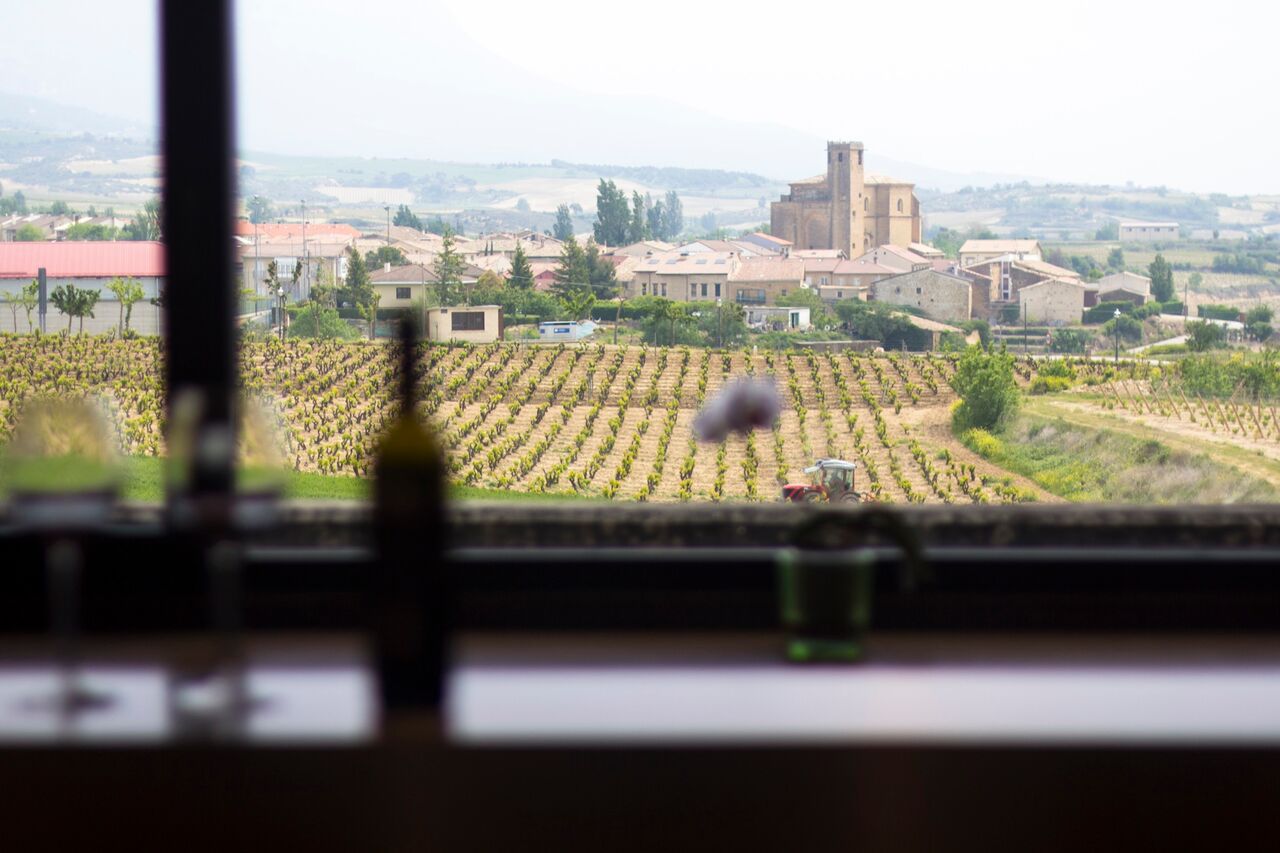 A view from a winery | EAT.PRAY.MOVE Retreats | Basque Country, Spain