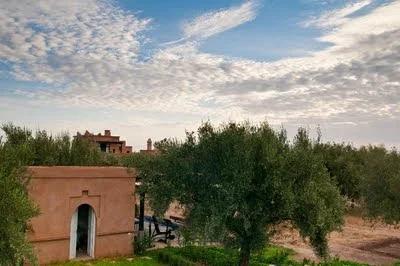 Celebrate Earth Day - Eco-Friendly Yoga Retreat