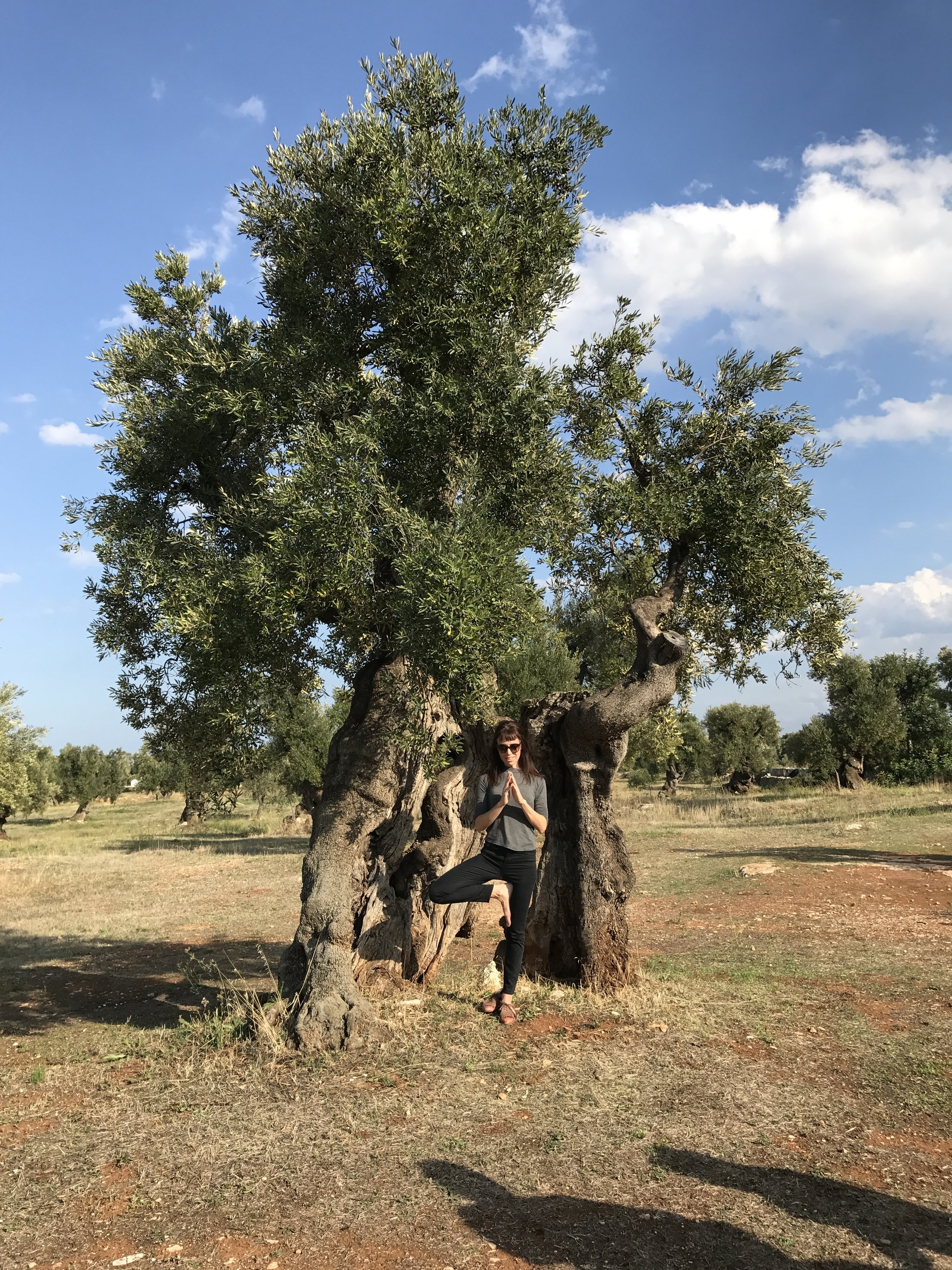 Tree pose in Puglia | EAT.PRAY.MOVE Yoga Retreats | Puglia, Italy
