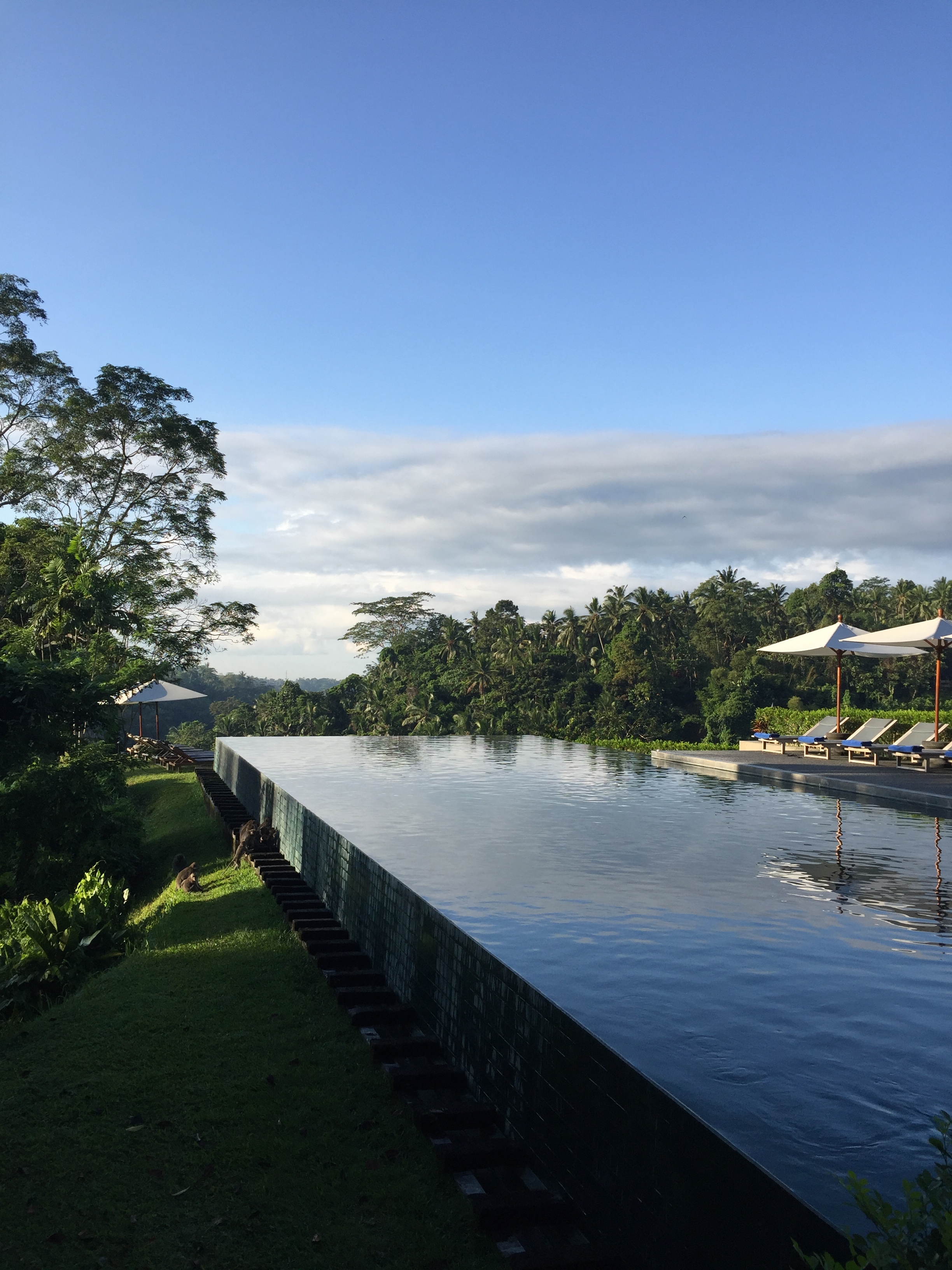 Infinity pool reflections | EAT.PRAY.MOVE Yoga | Bali, Indonesia