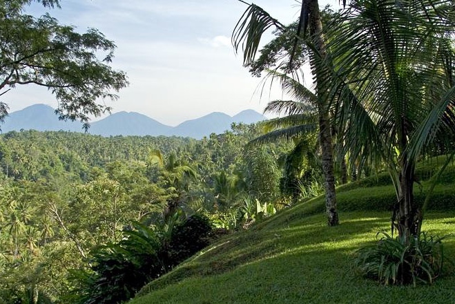 Overlooking the jungle | EAT.PRAY.MOVE Yoga | Bali, Indonesia