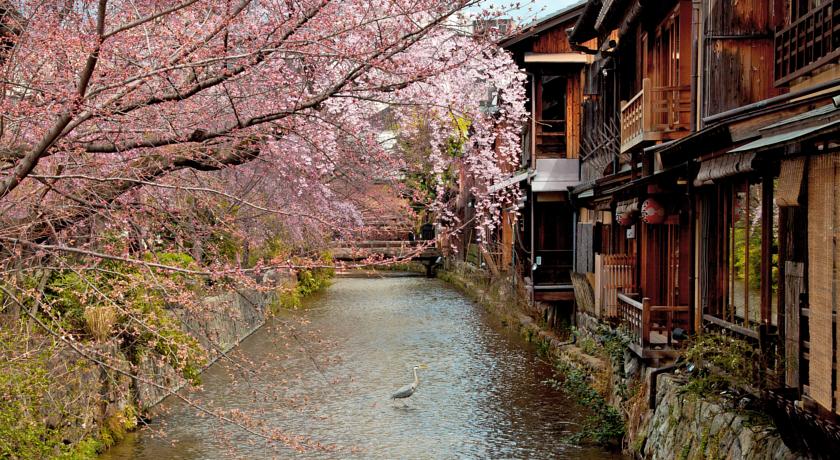 Shirikawa River | EAT.PRAY.MOVE Yoga | Kyoto, Japan