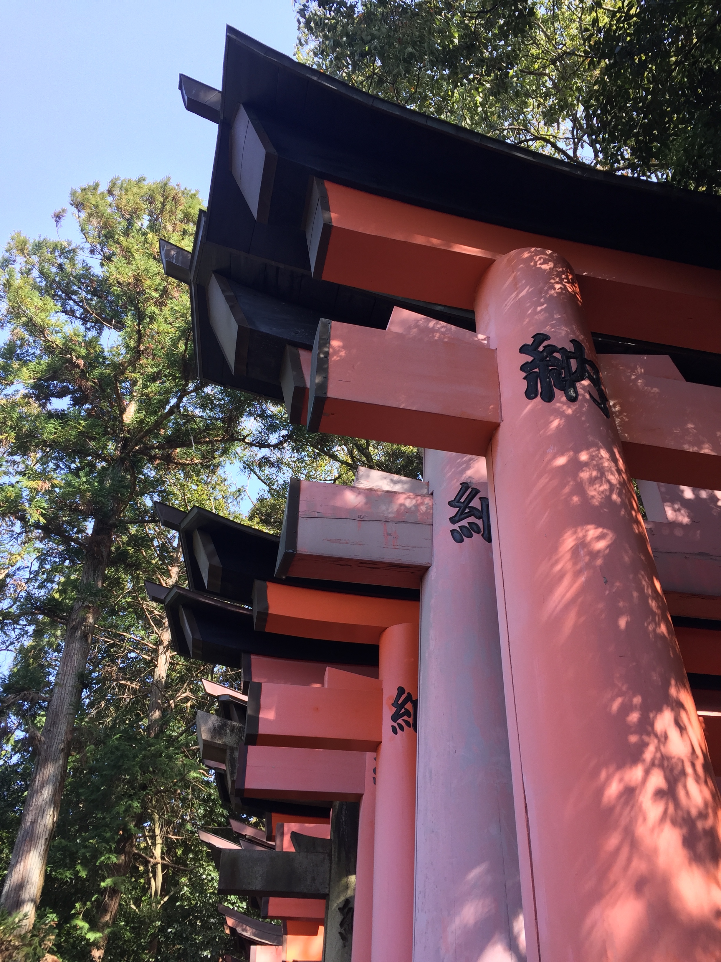 Up close at the Torii Gates | EAT.PRAY.MOVE Yoga | Kyoto, Japan