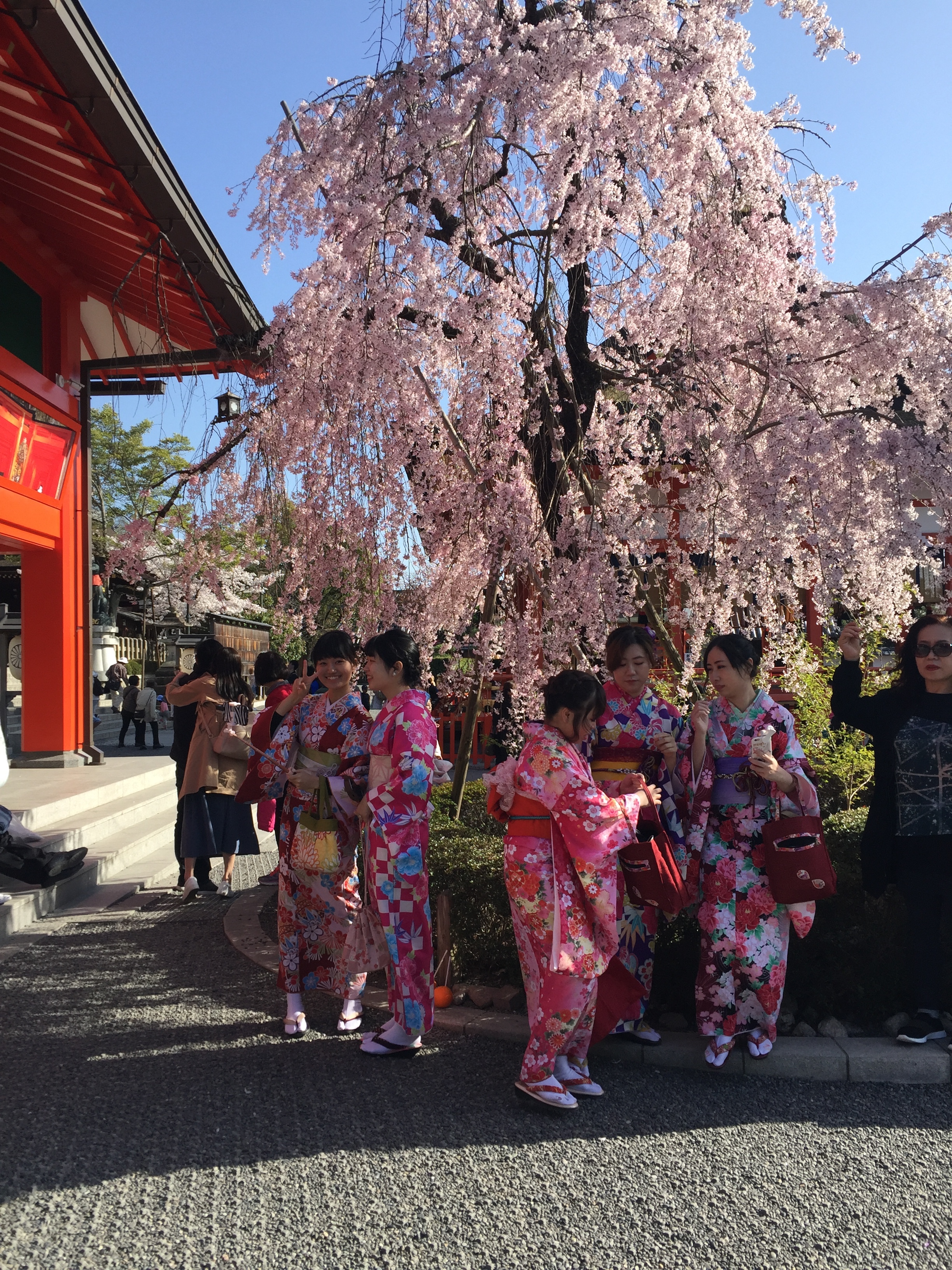 Kimonos under the cherry blossoms | EAT.PRAY.MOVE Yoga | Kyoto, Japan