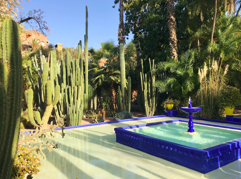 Fountain at Jardin Majorelle | EAT.PRAY.MOVE Yoga | Marrakesh, Morocco