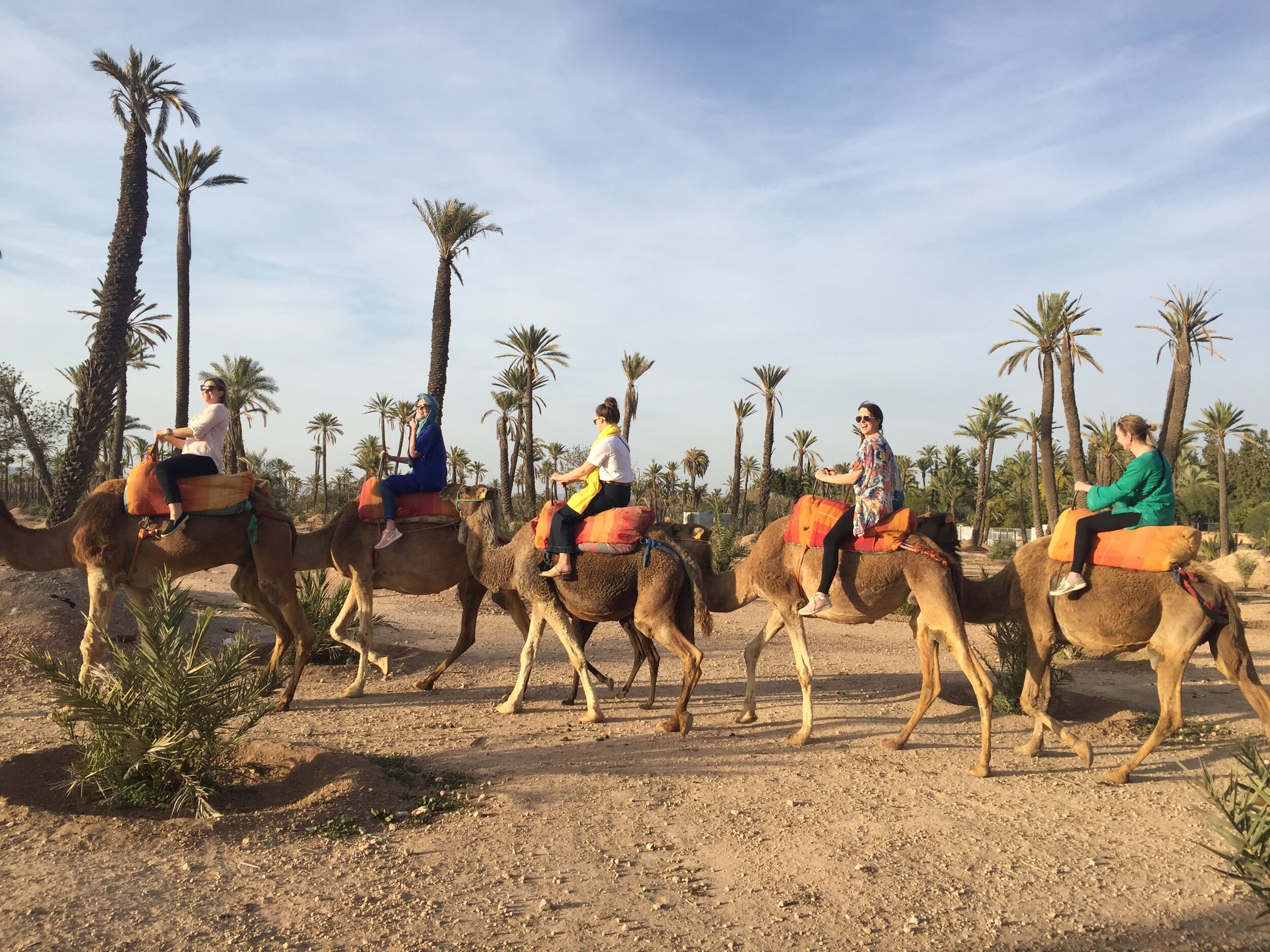 Camel ride in the city | EAT.PRAY.MOVE Yoga | Marrakesh, Morocco