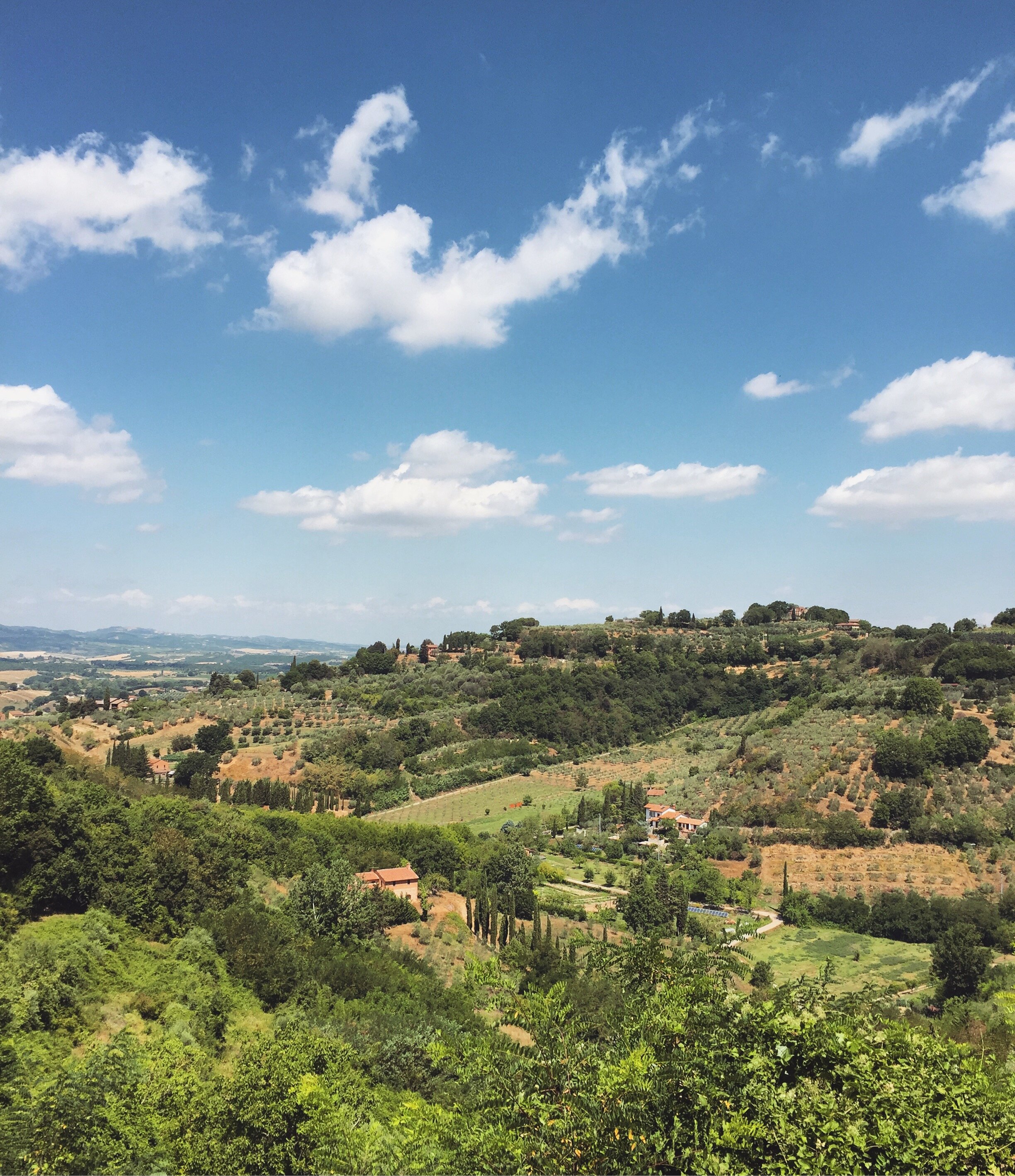 Rolling hills of the countryside  | EAT.PRAY.MOVE Yoga Retreats | Tuscany, Italy