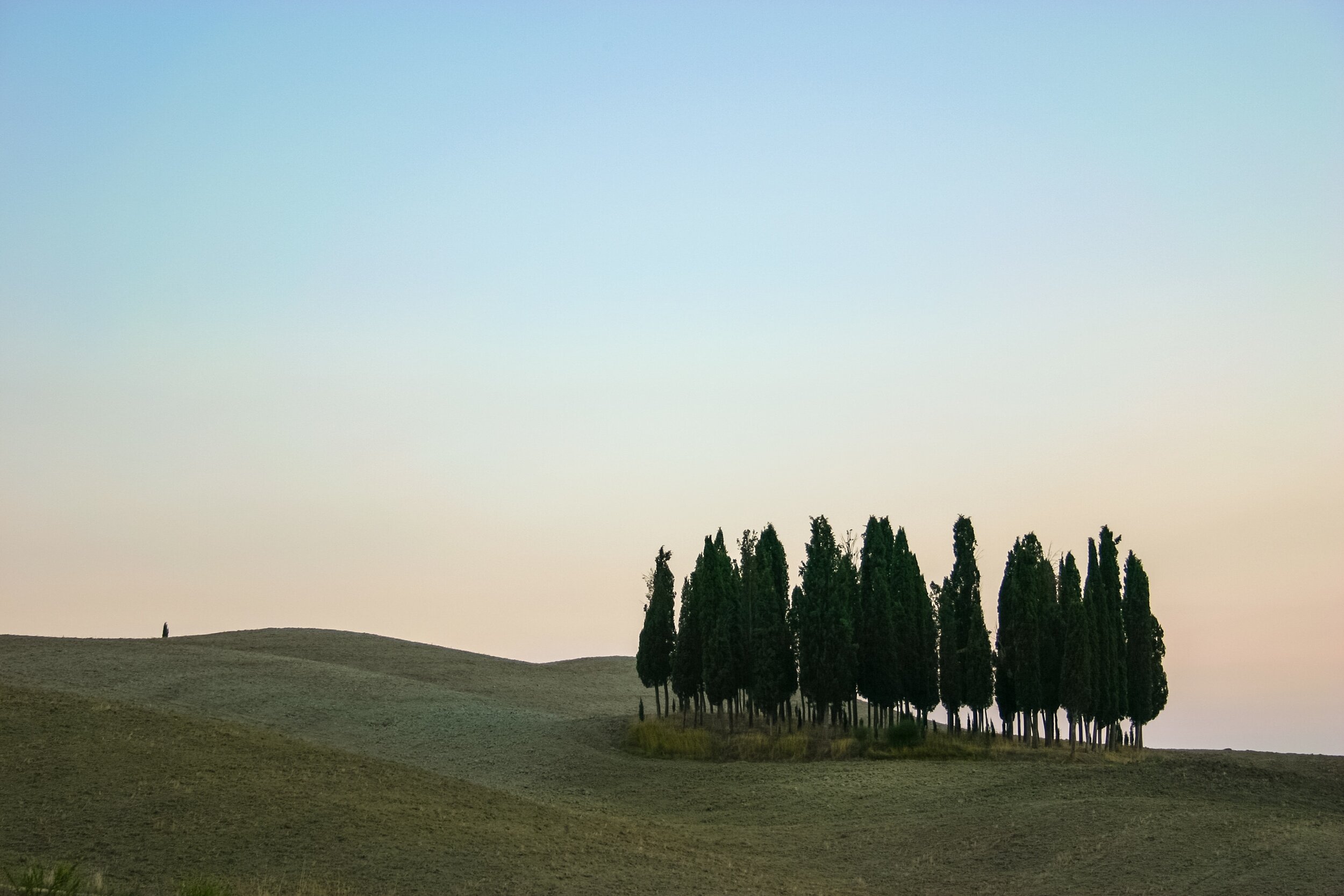 Sunset over cypresses  | EAT.PRAY.MOVE Yoga Retreats | Tuscany, Italy