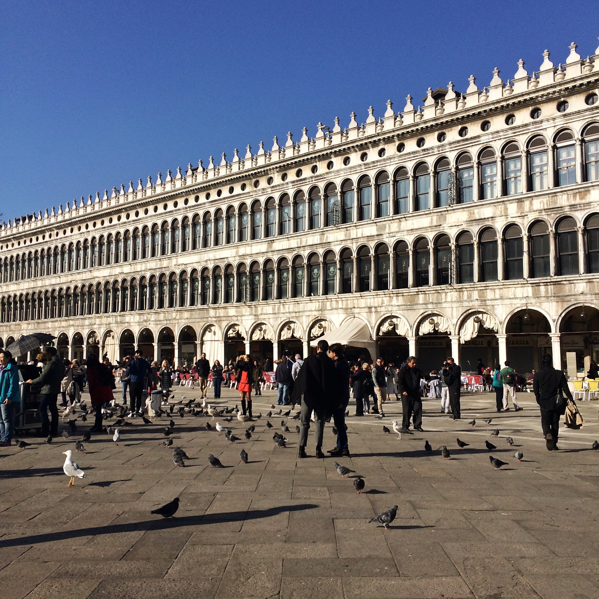 Tourists and pigeons roam the famed spaces | EAT.PRAY.MOVE Retreats | Venice, Italy 