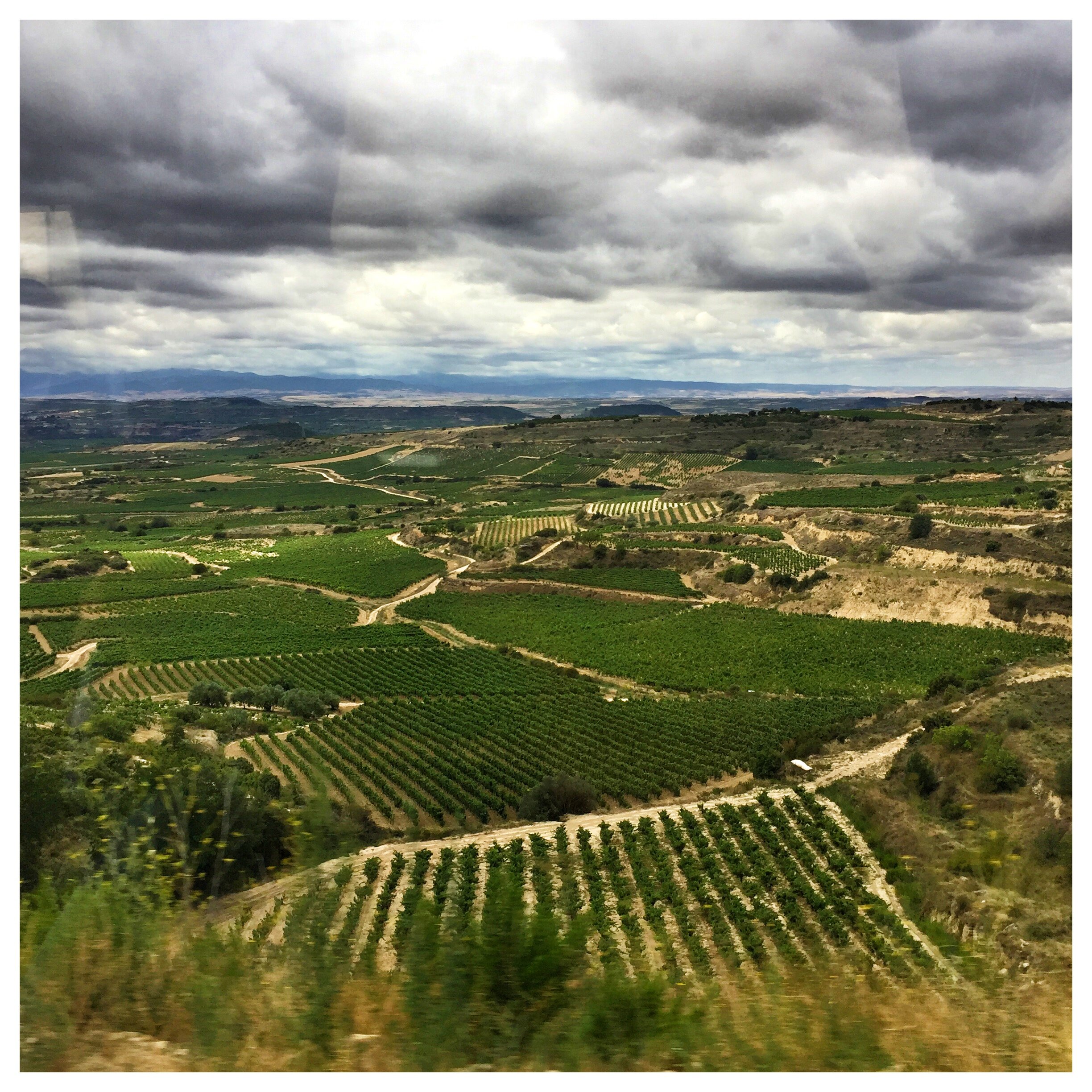 Rioja Spanish wine country | EAT.PRAY.MOVE Retreats | Basque Country, Spain