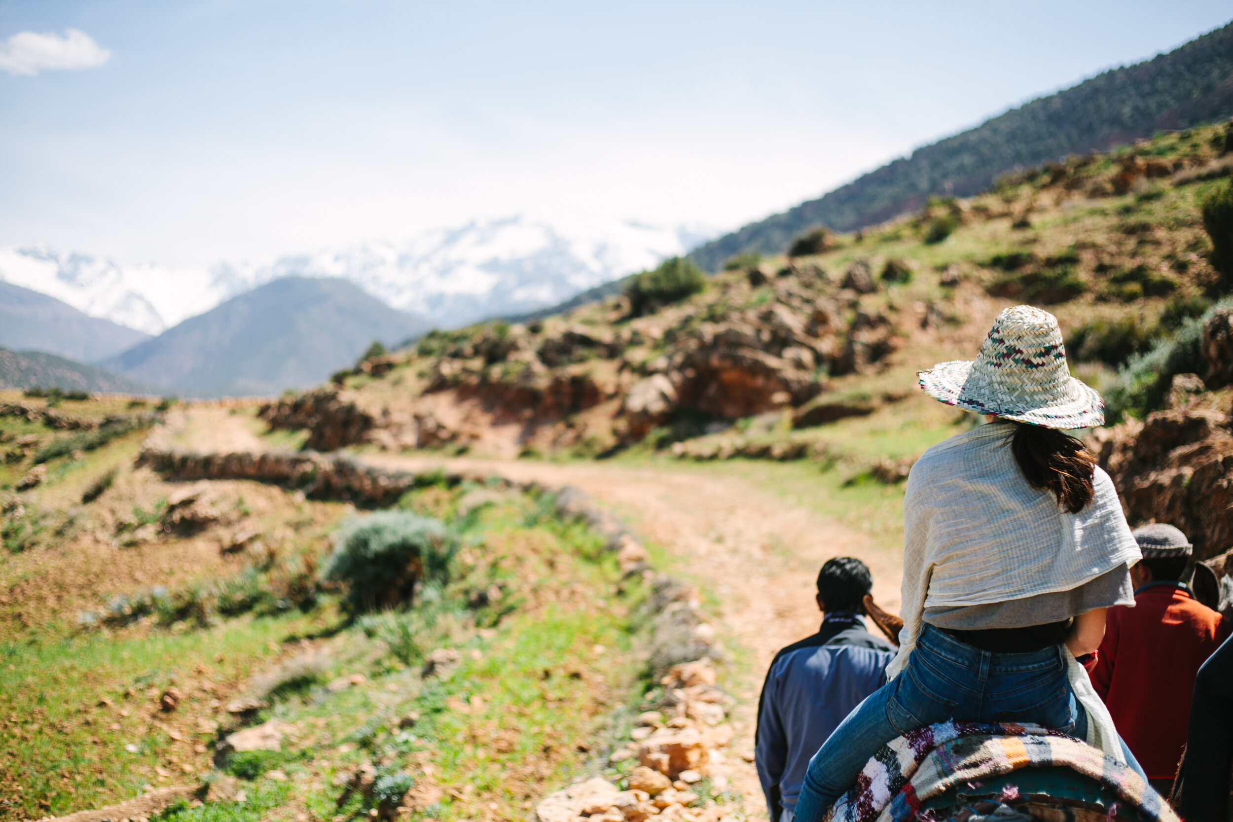  A mule trek in the Atlas Mountains of Morocco on a yoga retreat 