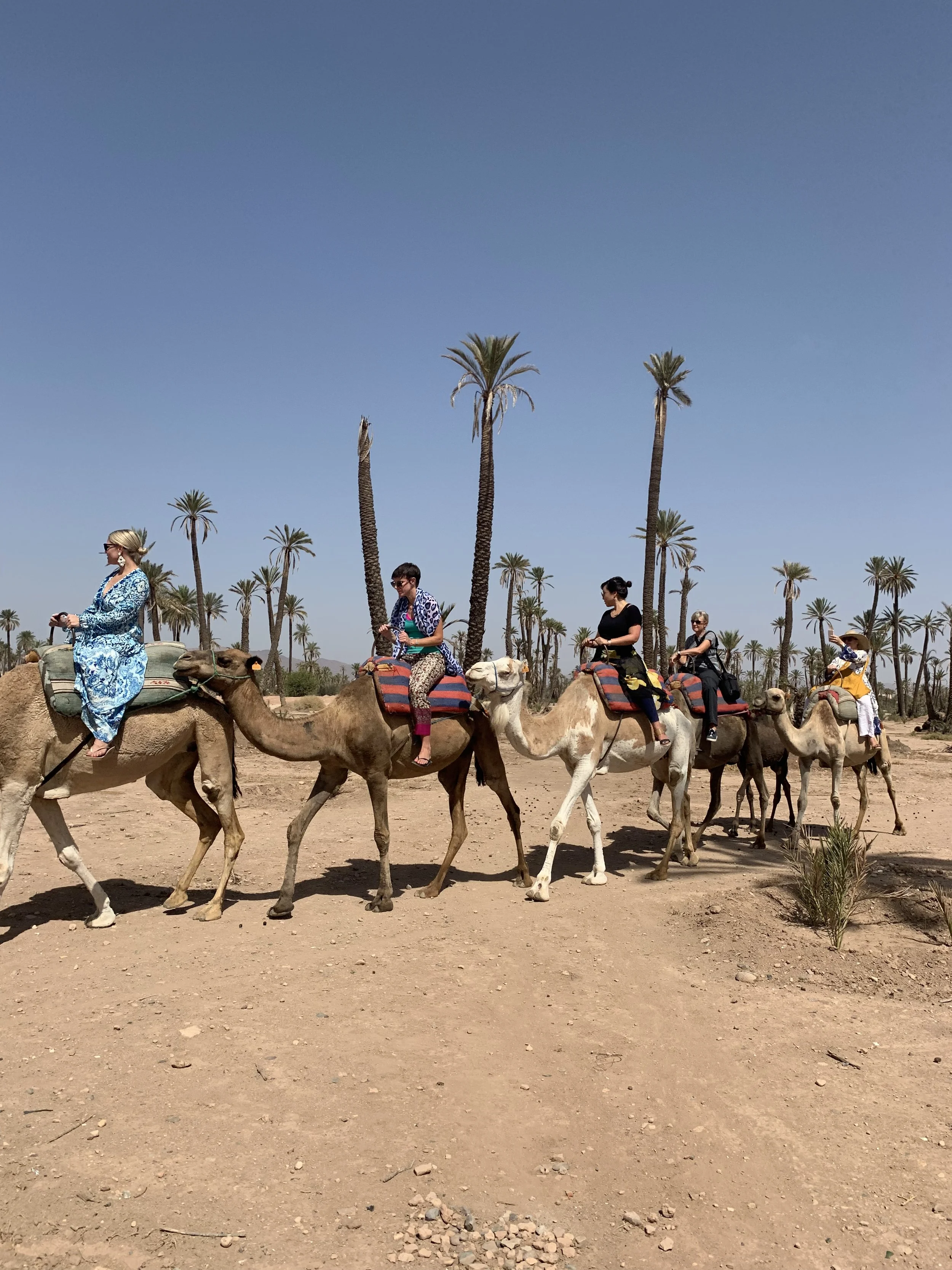 Foto 24-09-19, 12 30 24.jpg