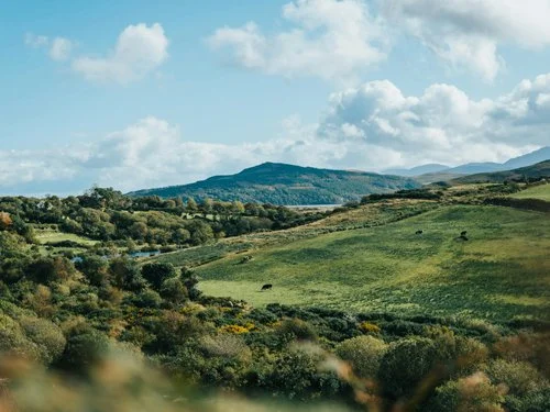 IRELAND \ WELLNESS + CREATIVITY + CULTURE \ AUG 23-28, 2027