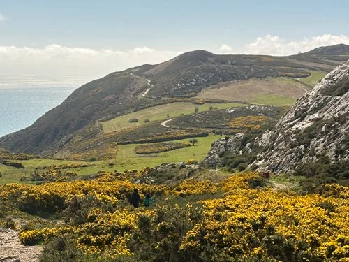 IRELAND \ RITUAL + RENEWAL \ AUG 29 - SEP 3, 2027