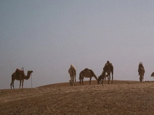 MARRAKESH, MOROCCO \ MOVEMENT + MAGIC \ JUN 29 - JUL 4, 2025