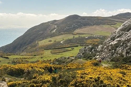 IRELAND \ RITUAL + RENEWAL \ AUG 29 - SEP 3, 2027