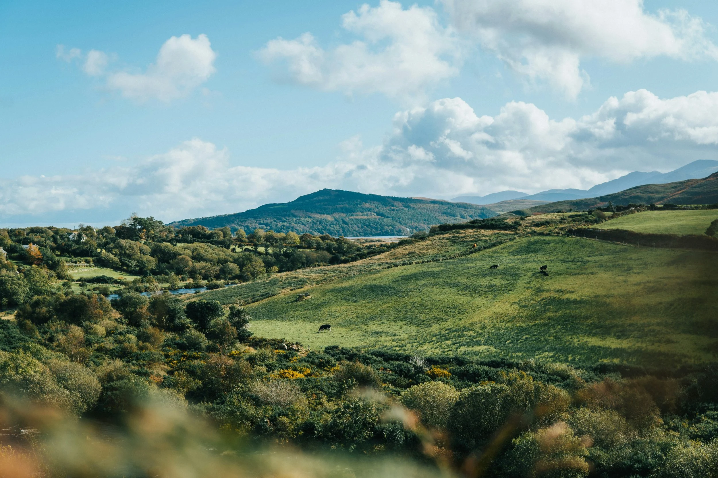 IRELAND \ WELLNESS + CREATIVITY + CULTURE \ AUG 23-28, 2027
