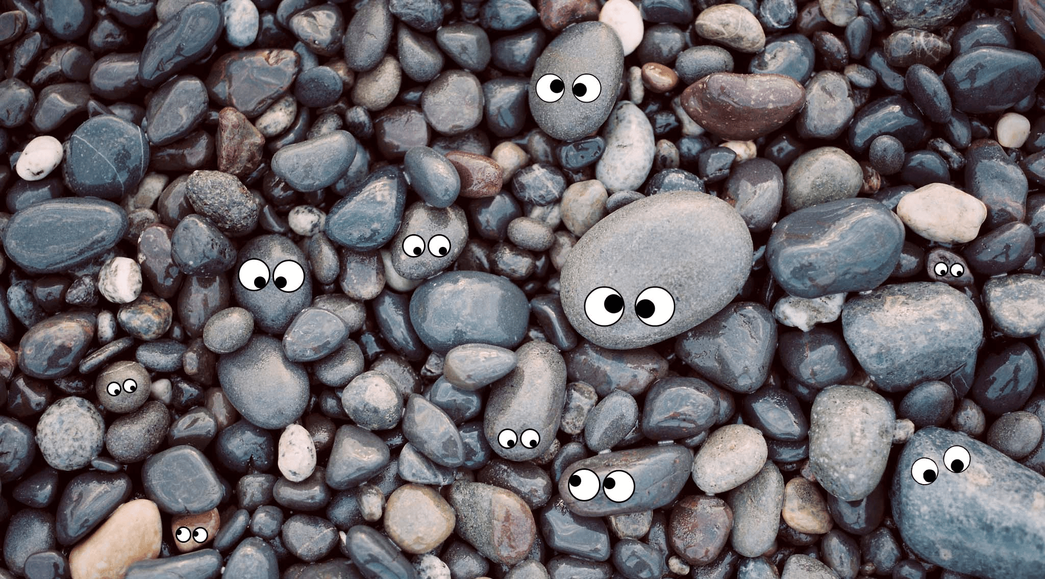 send-a-rock.png?format=2500w
