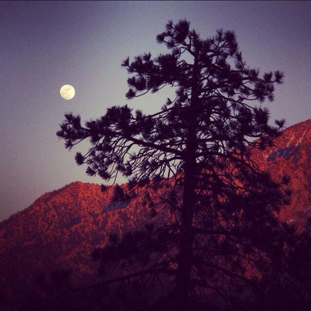 BARNES & NOBLE (Santa Monica)