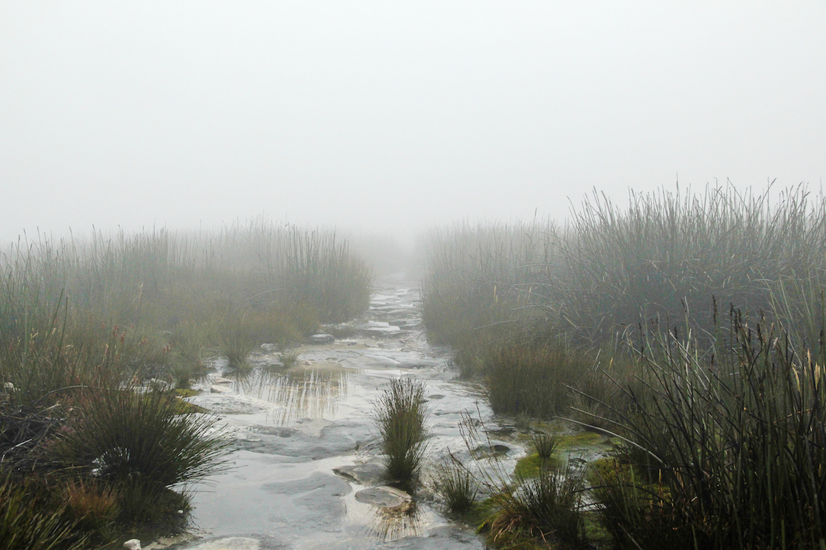 Table Top Mountain, Cape Town, South Africa