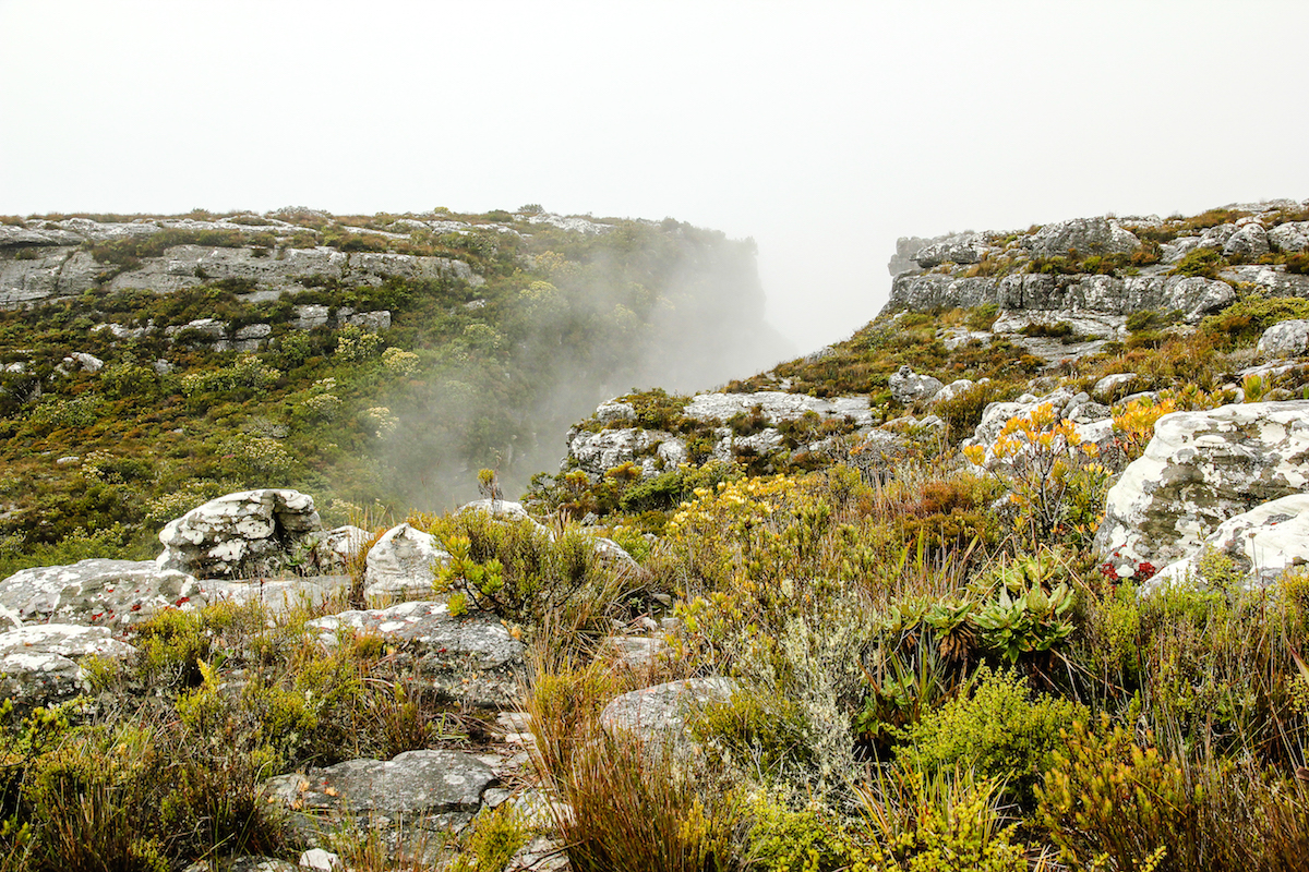 Table Top Mountain, Cape Town, South Africa