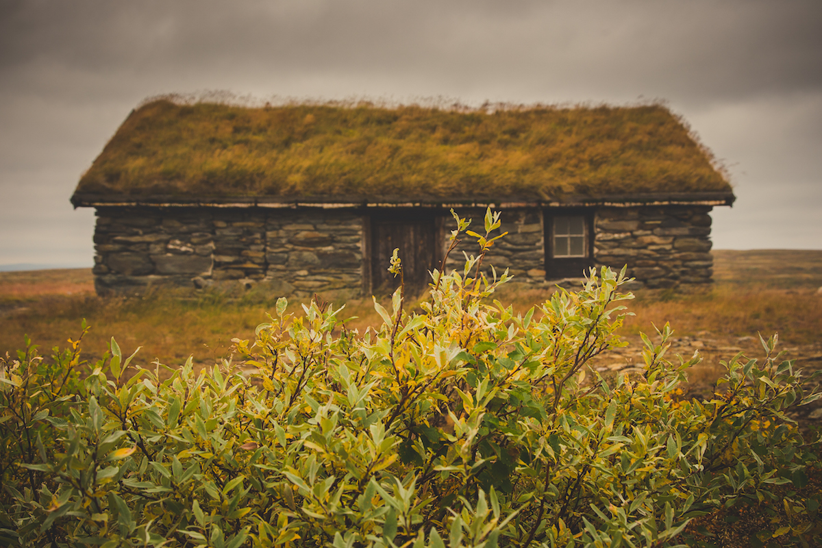 Storwartz mine, Røros