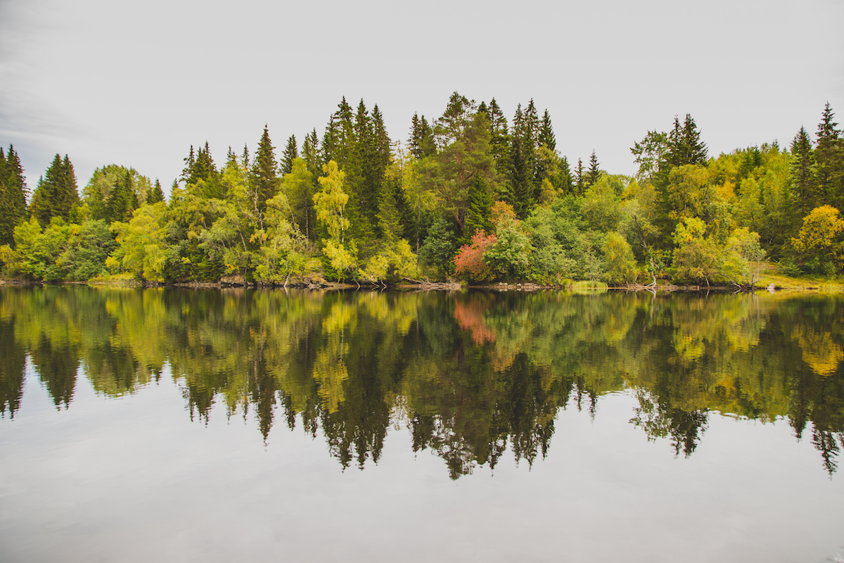 Bymarka Nature Reserve, Trondheim