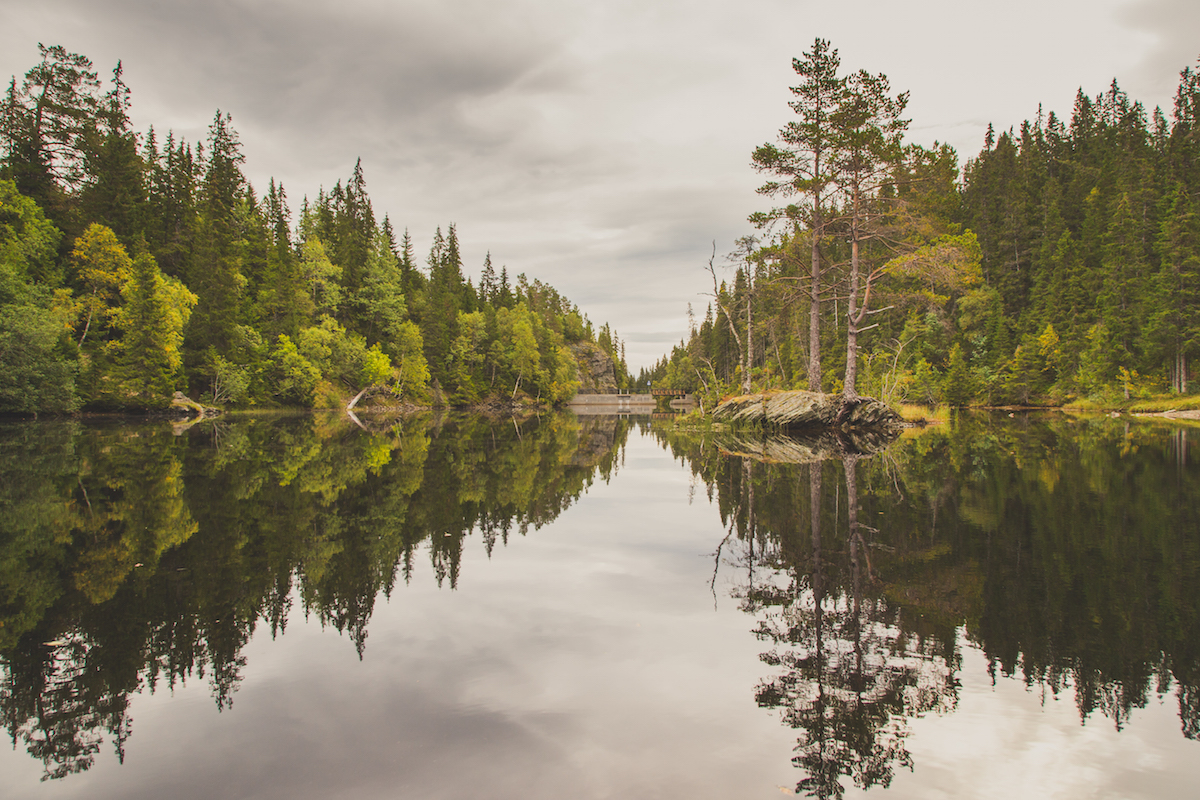 Bymarka Nature Reserve, Trondheim