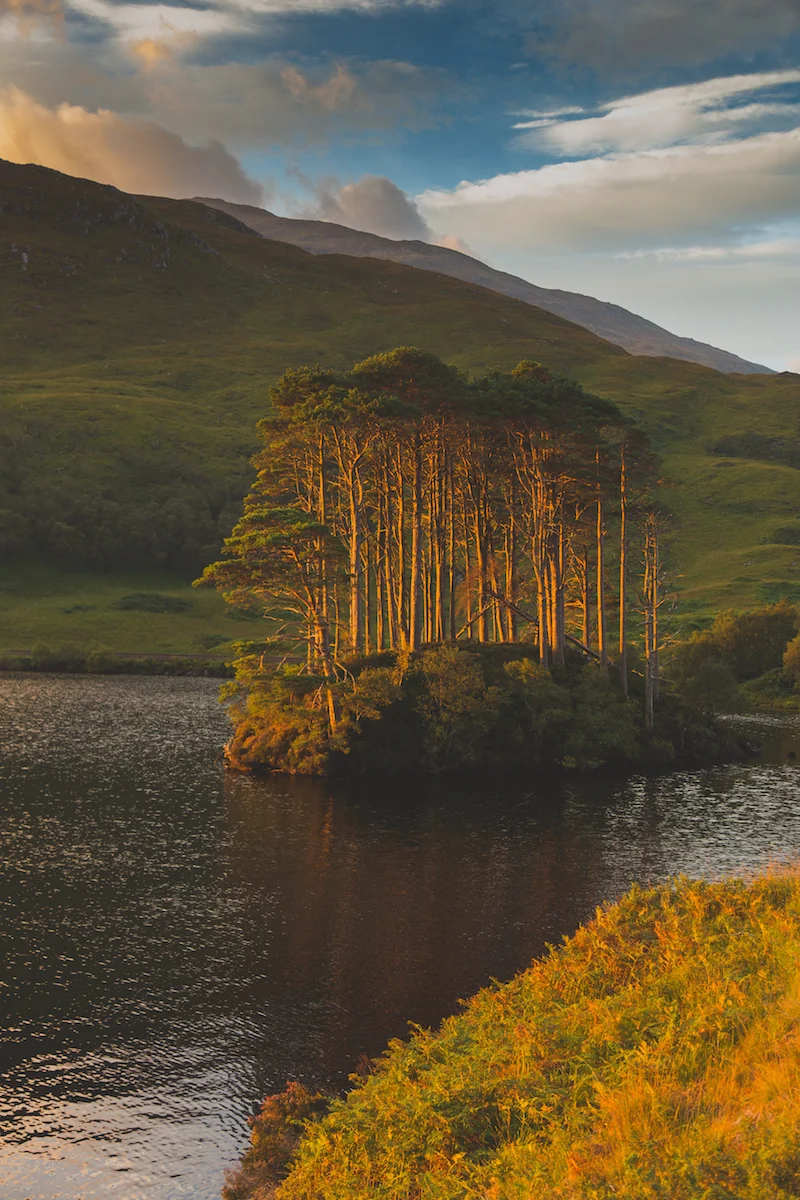 Eilean na Moine, Loch Eilt, Scotland
