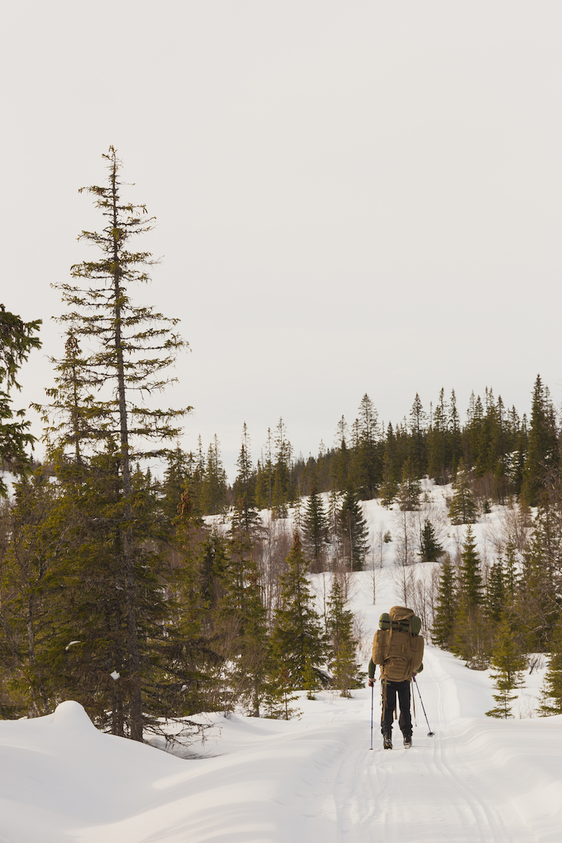 Eirik skiing through Ytterskogen (the outer forest).