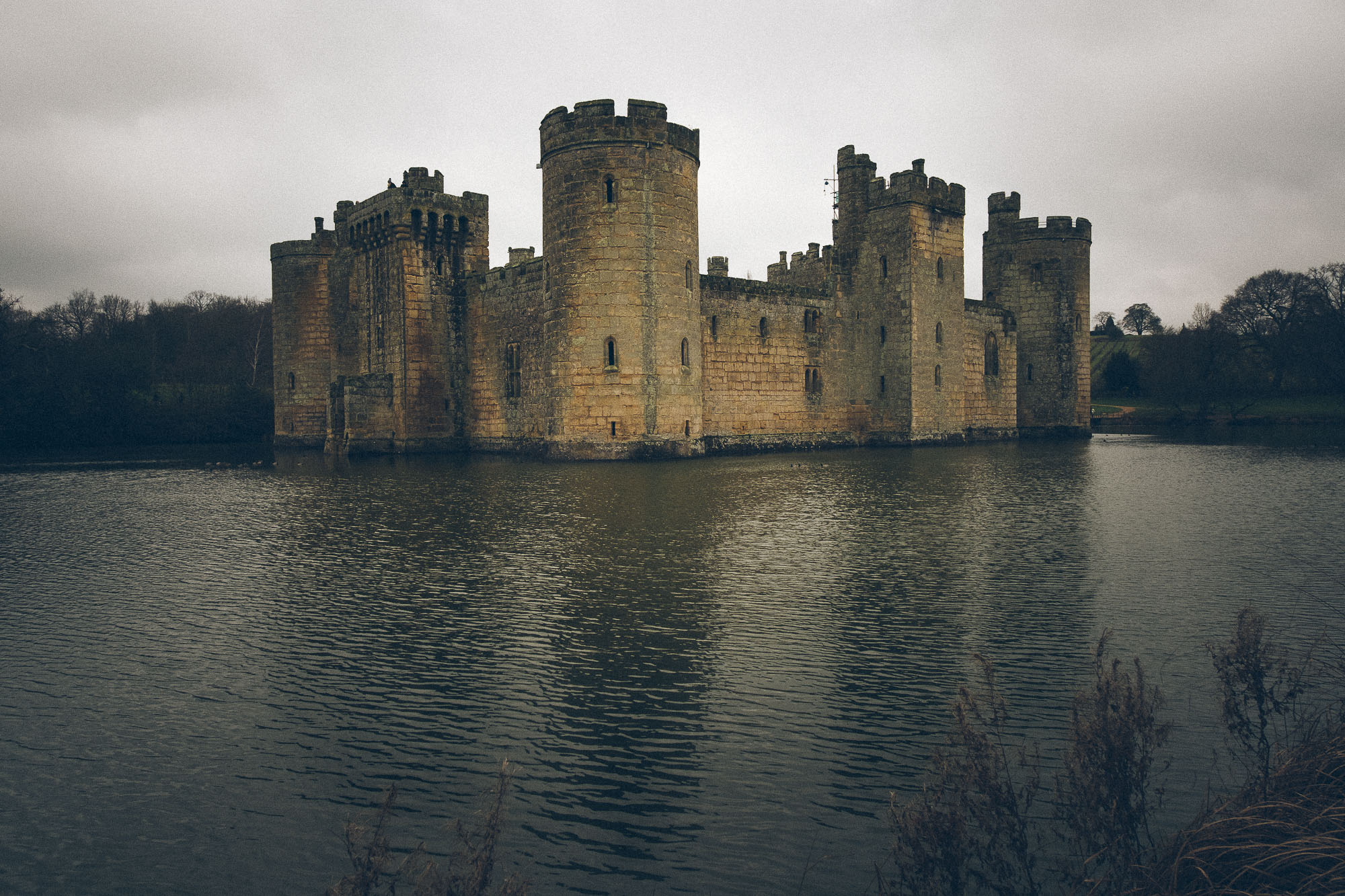 DSCF2247.jpg