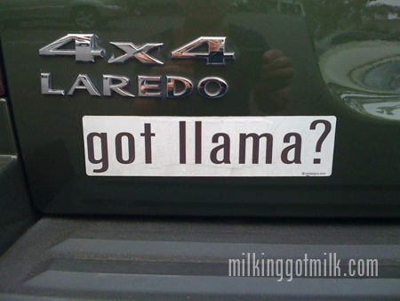 welcome slideshow got llama.gif