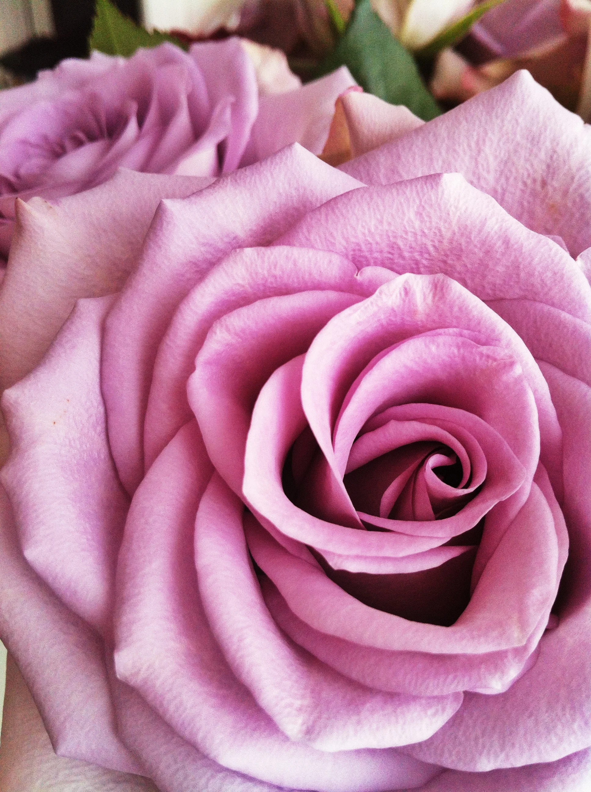 The perfect gift for Valentine's Day and Mothers Day? Offer a Hibiscus Dinners Experience!