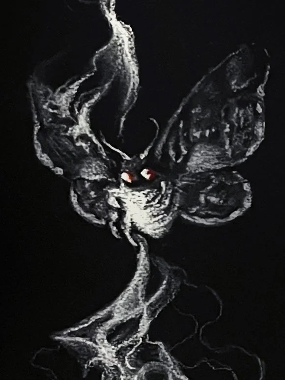 MOTH_DETAIL2.jpg