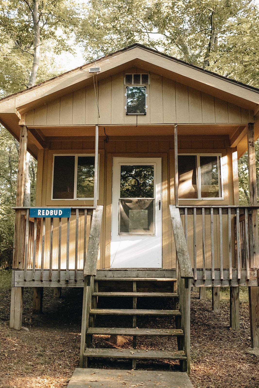 Treehouse Village (3).jpg