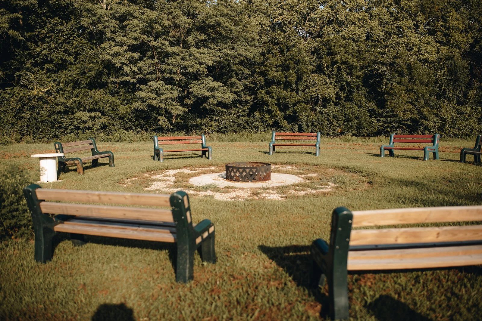 Treehouse Village (8).jpg