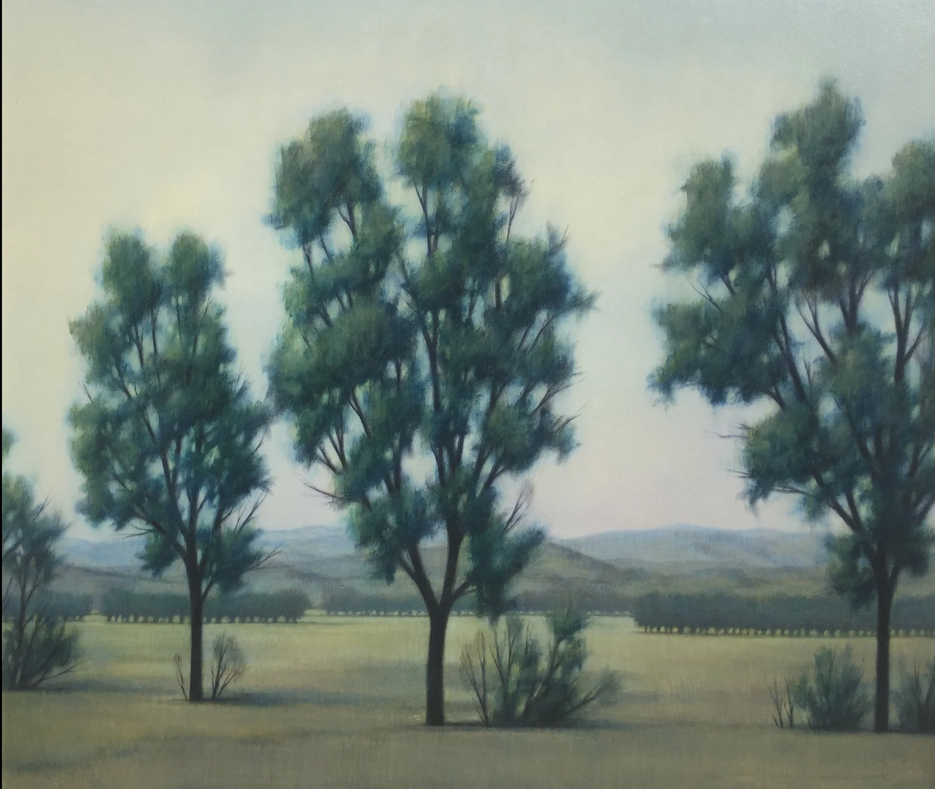 Taman VanScoy