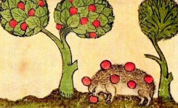 The Auld Apple Tree: A Winter Solstice Celebration