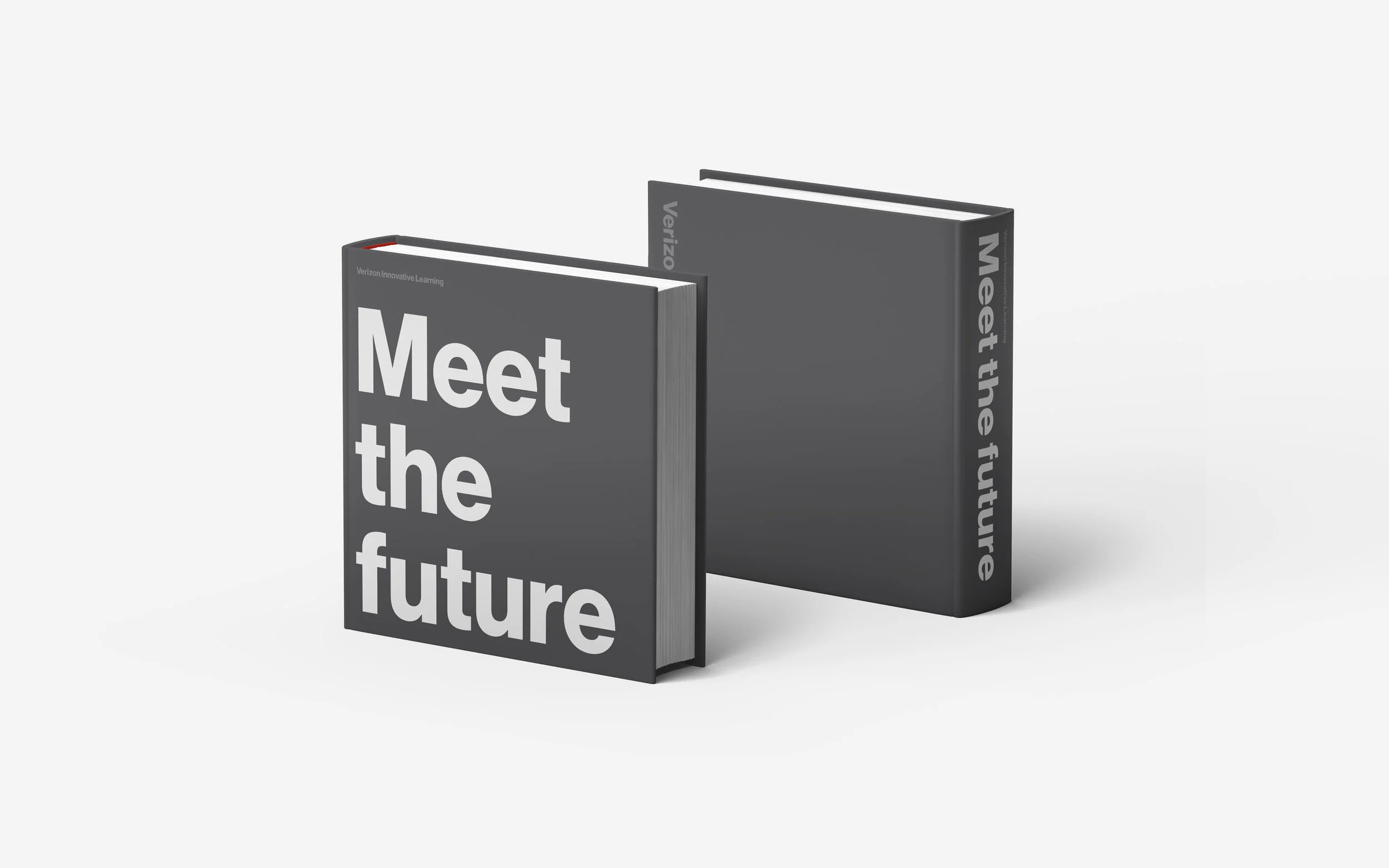 VIL_book_cover_VIL_gray.jpg
