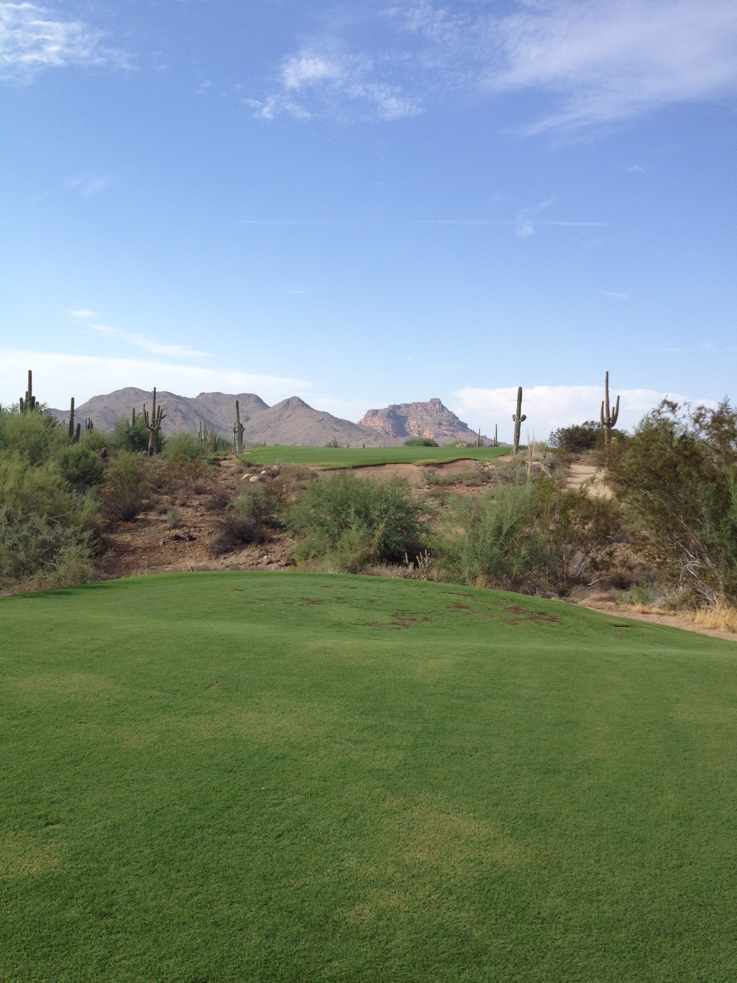 2012-08-11 08.29.09.jpg