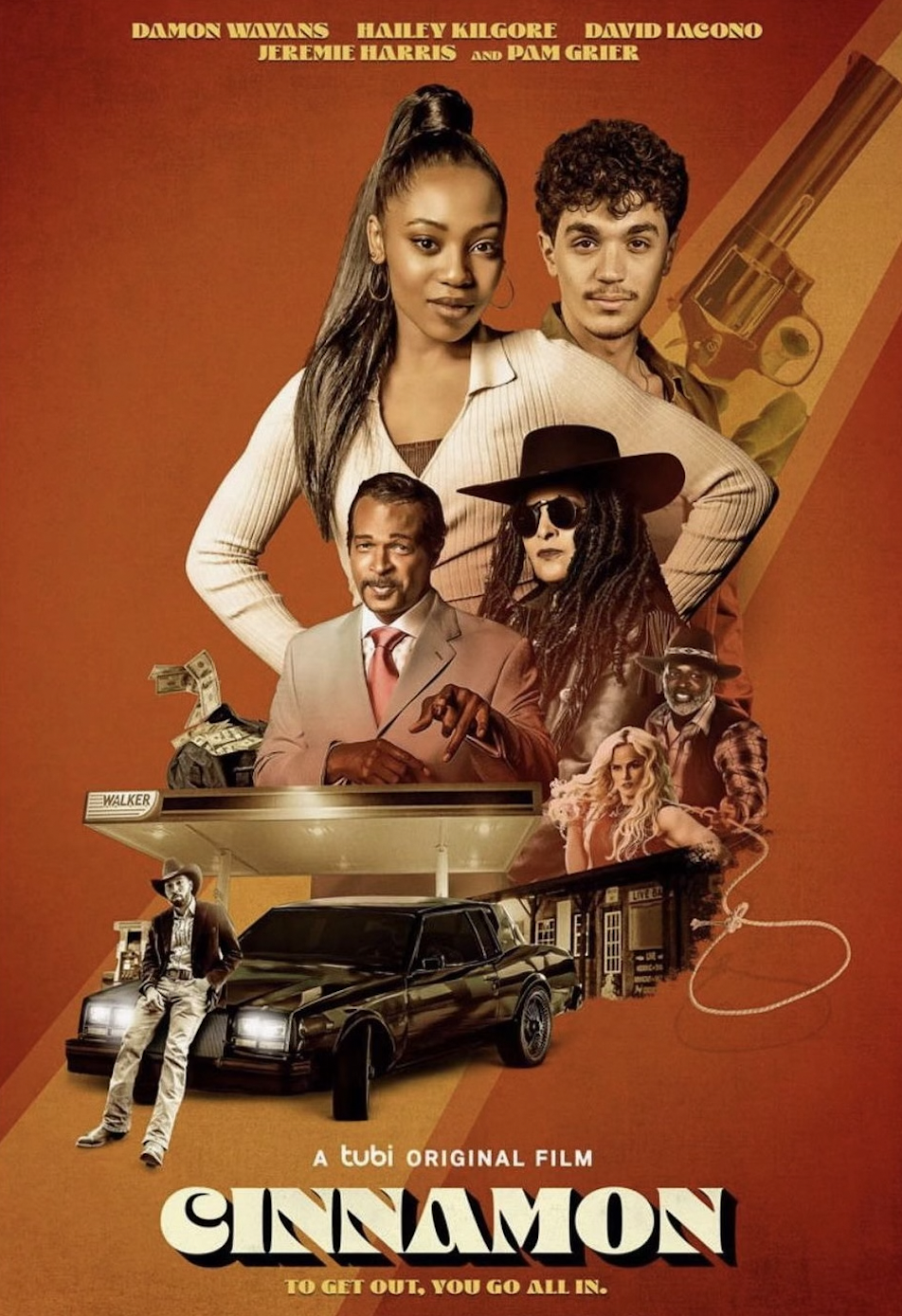 cinnamon_film.png