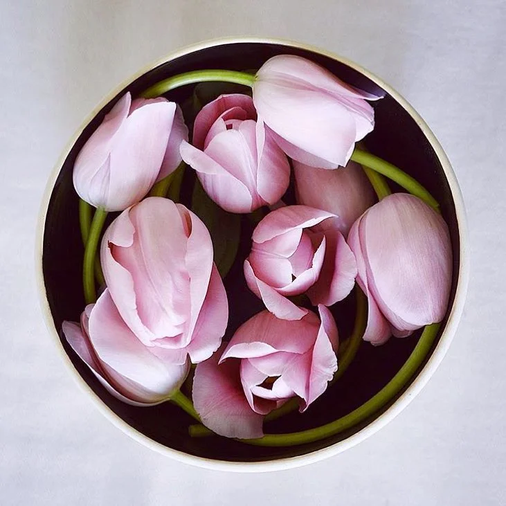 tulip_bowl.jpg