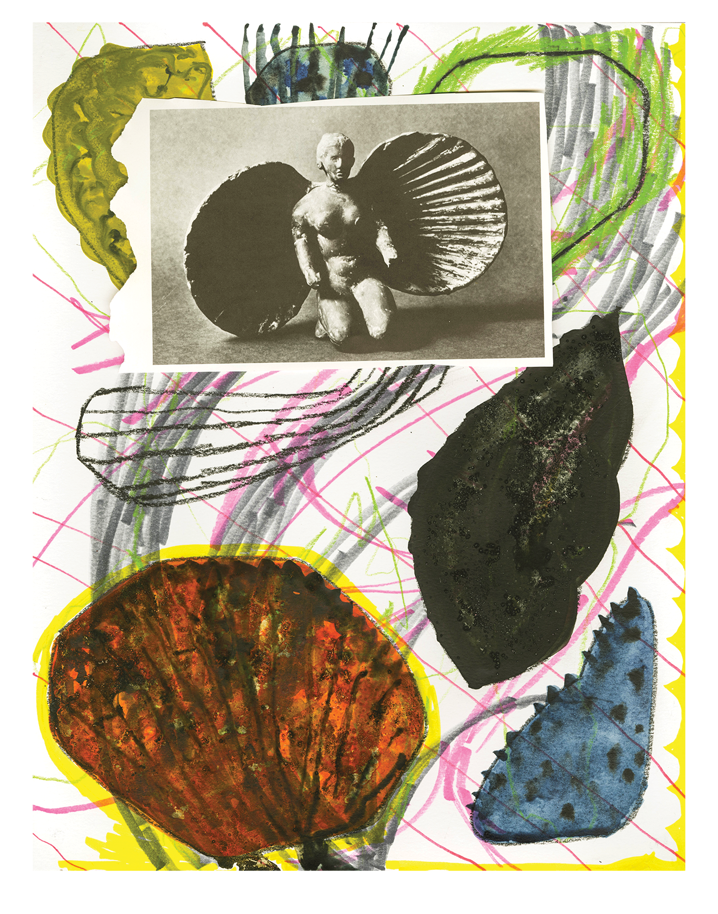 shells_11x14.png