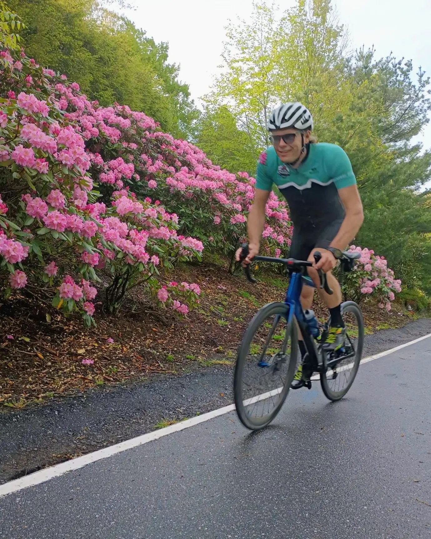 3T Experience Week is here and so are our name sakes: the first Rhododendron blooms of the season are out!! Demo fleet is ready for test riding. Come on in!
&bull;
&bull;
&bull;
#3TBikes #3T #3TExperienceWeek #roadbike #roadcycling #gravelbike #groad