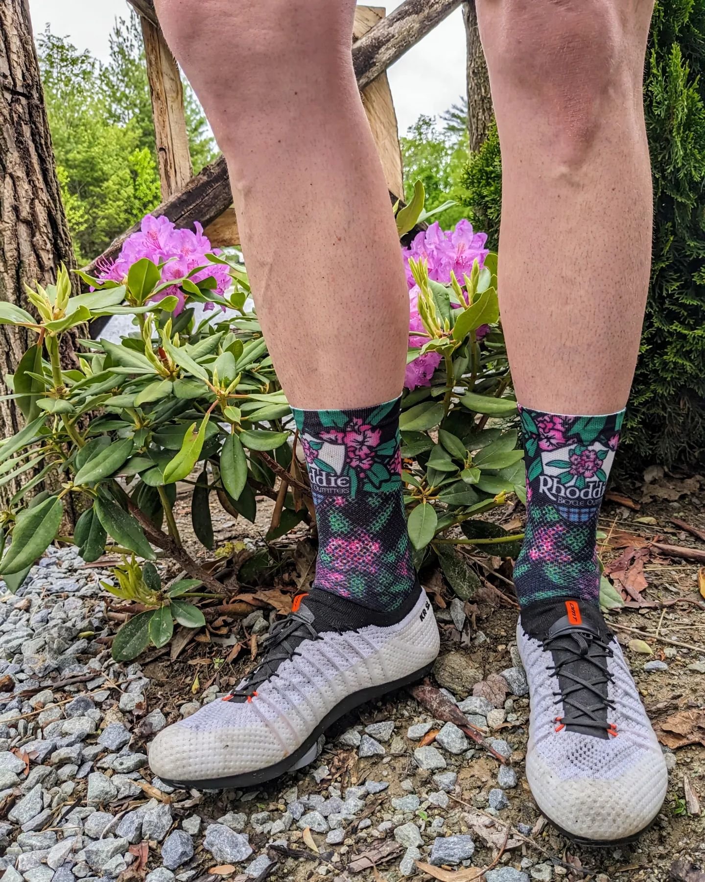 In good company, blooming Catawba Rhododendron &amp; Defeet Cycling socks. The world's finest cycling socks made right here in North Carolina. Pictured are some limited edition socks sublimated and personally delivered for our 3T Experience Week even