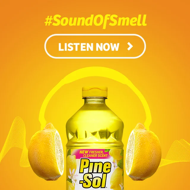 BrianLamy_PineSol_SoundOfSmell_5_1of3_Spotify.jpg